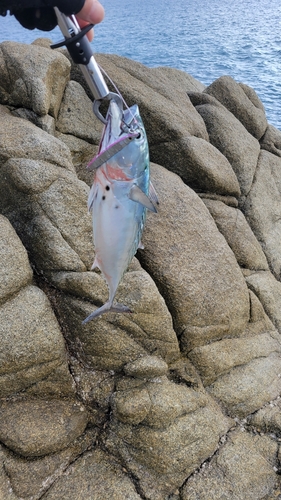 大隅海峡