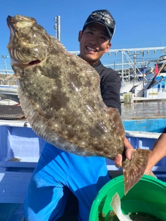 ヒラメの釣果