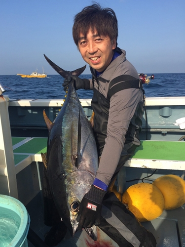 キハダマグロの釣果