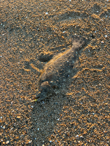 新舞子海岸（いわき）