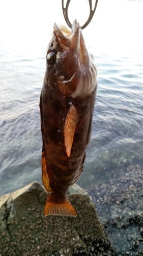 気仙沼湾