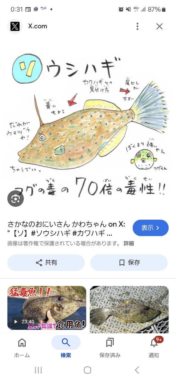 ソウシハギ