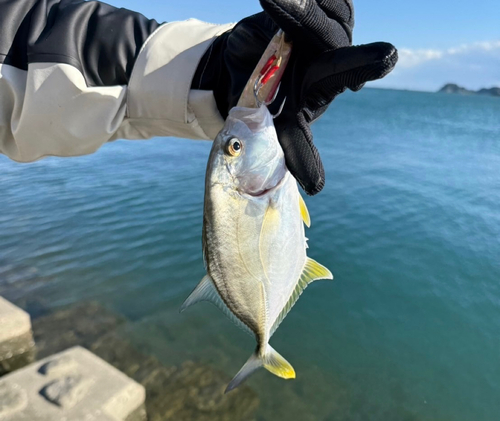 那賀川河口