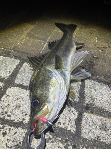 隅田川小名木川合流