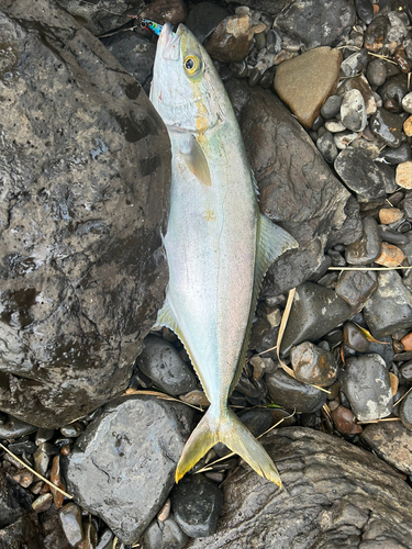 浦ノ崎港