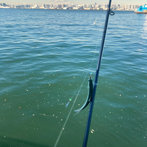 若洲海浜公園海釣り施設