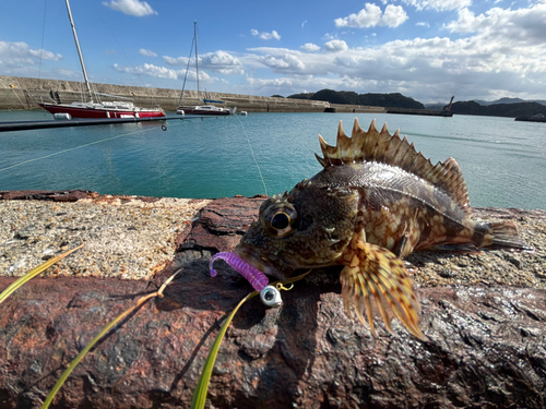 釣果