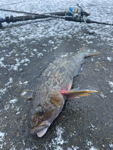 内浦湾（北海道）