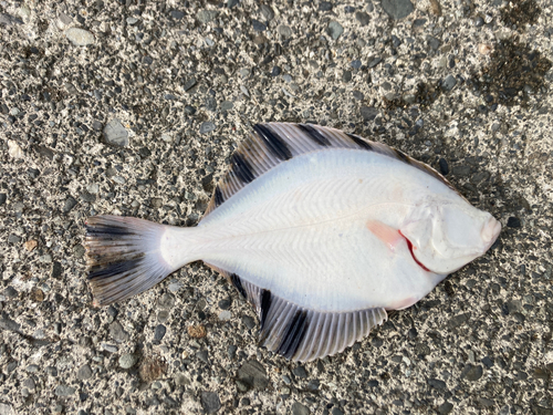 石狩湾新港