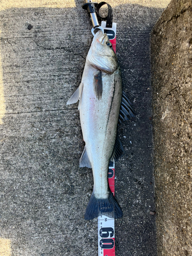 平磯海づり公園