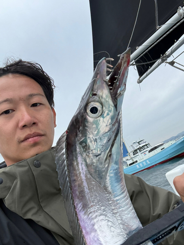 タチウオの釣果