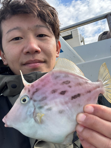 カワハギの釣果