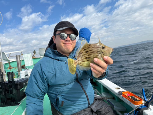 カワハギの釣果