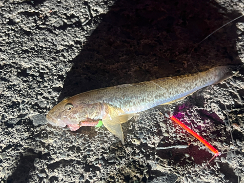 石狩湾新港