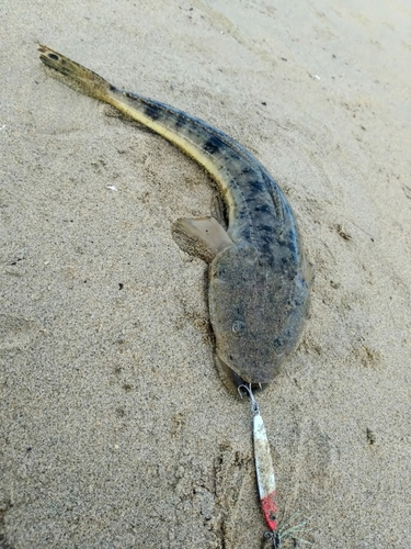 伊勢湾湾奥