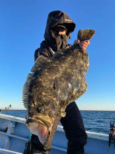 ヒラメの釣果