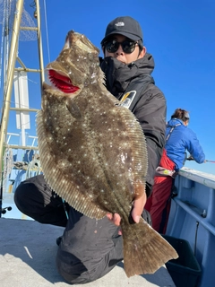 ヒラメの釣果