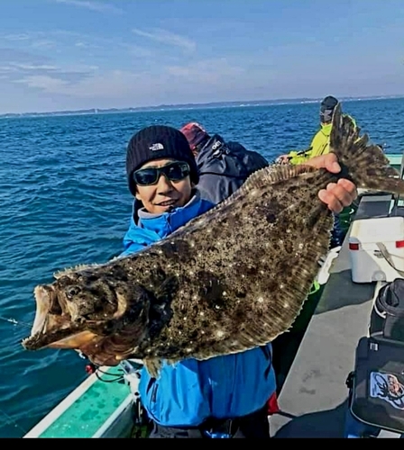 ヒラメの釣果