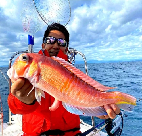 アマダイの釣果