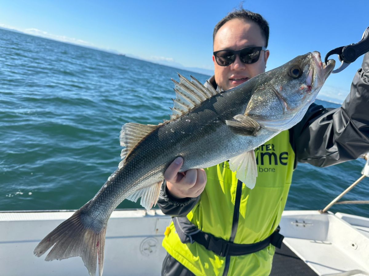 Ryo Kさんの釣果 2枚目の画像