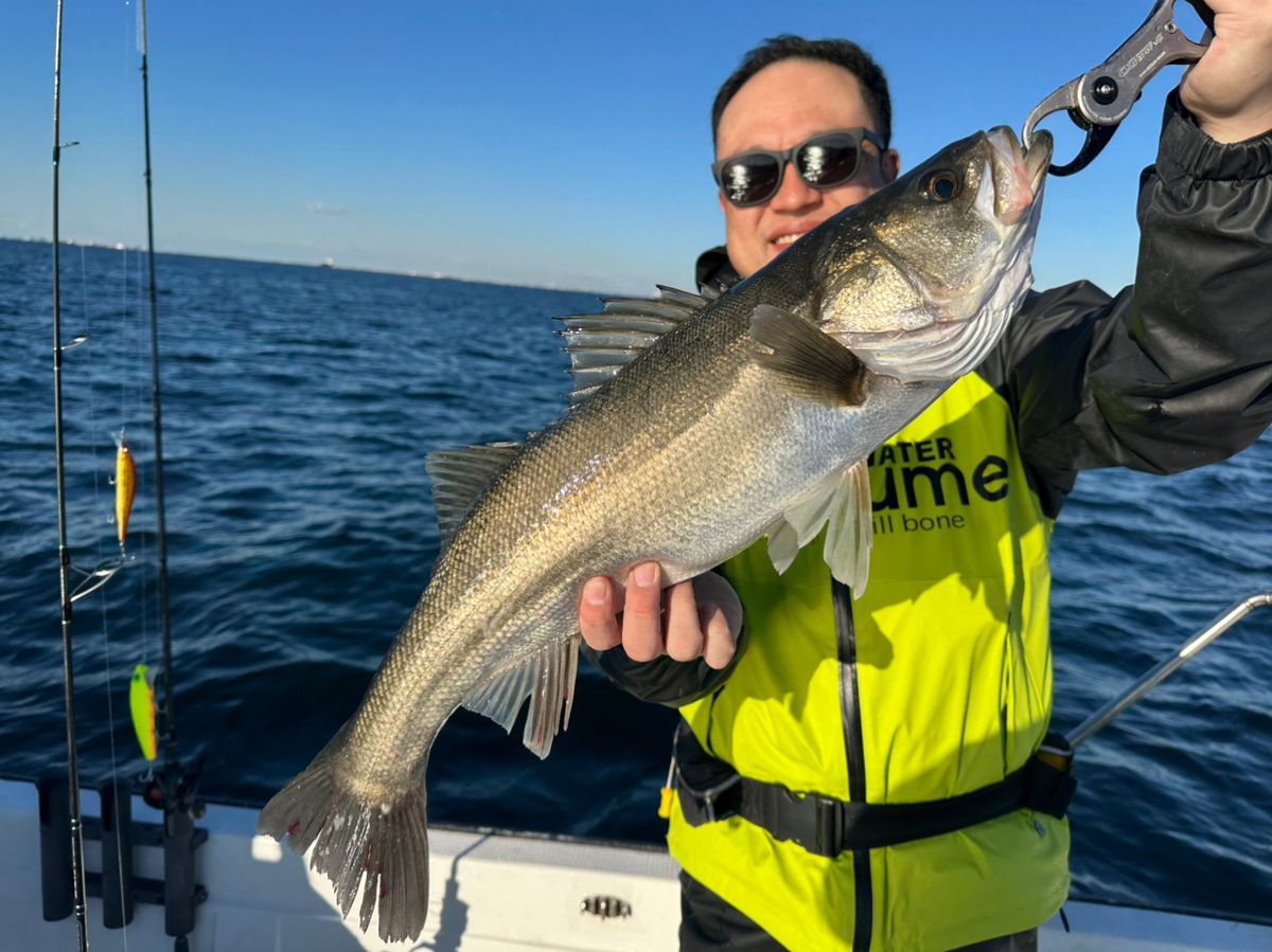 Ryo Kさんの釣果 3枚目の画像