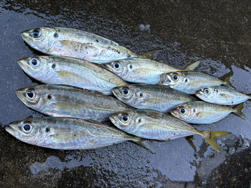 福田漁港