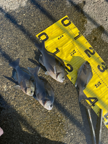 湯河原海浜公園