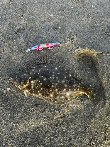 大倉戸海岸