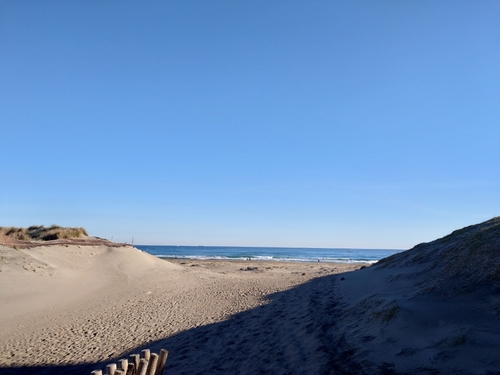 須田浜海岸