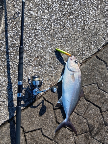 鹿児島湾南部