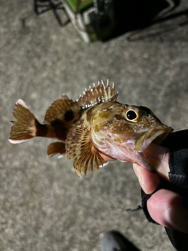 田ノ浦漁港