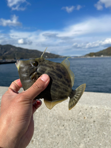 倉橋島