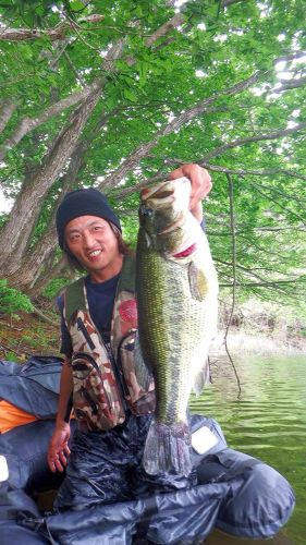 ブラックバスの釣果