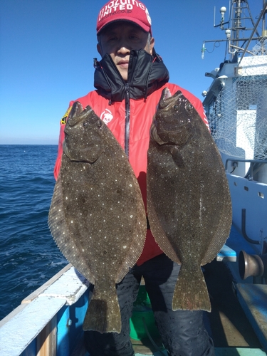 ヒラメの釣果