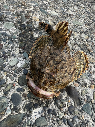 石狩湾新港