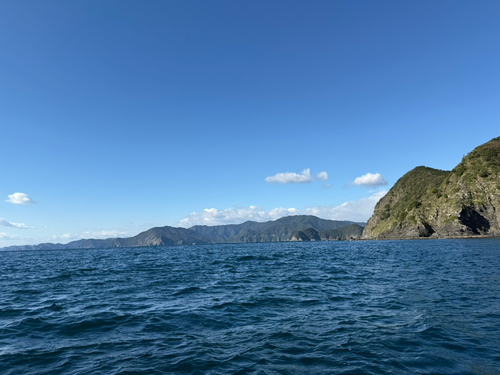 オオモンハタの釣果