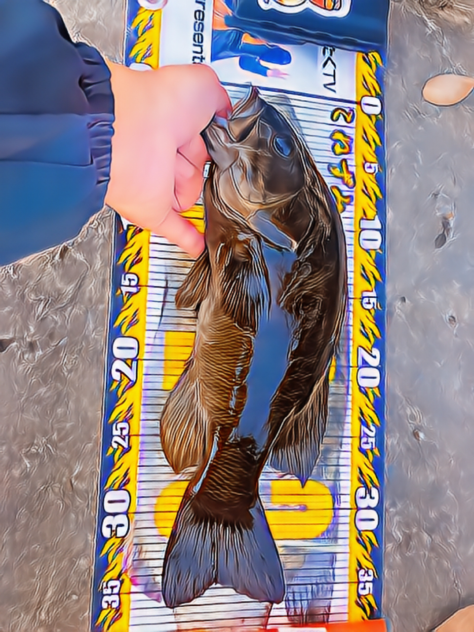 SHIMANO 21ポイズングロリアス 2610L/MHの最安値・インプレ