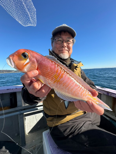 アマダイの釣果