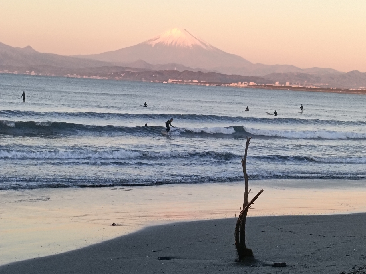 タカノハダイ