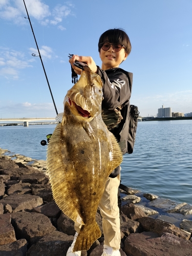 ヒラメの釣果