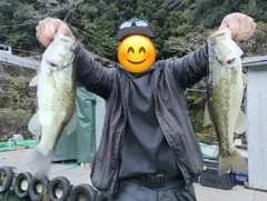ブラックバスの釣果