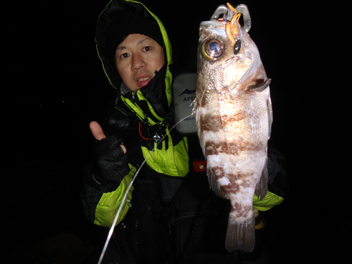 伊勢湾湾奥