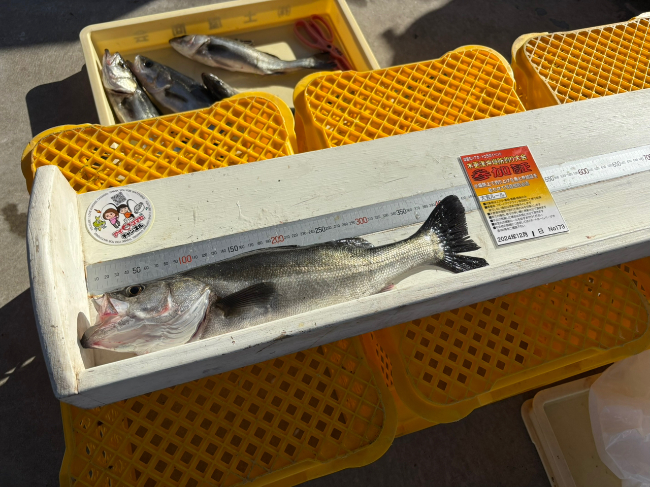 AbuGarcia ソルティースタイルシーバスの最安値・インプレ・釣果
