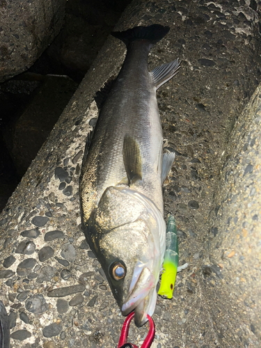 稲毛海浜公園