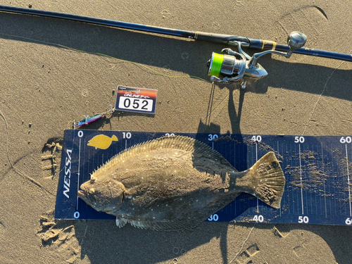 ヒラメの釣果