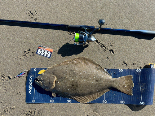 ヒラメの釣果