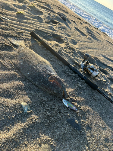 中田島サーフ