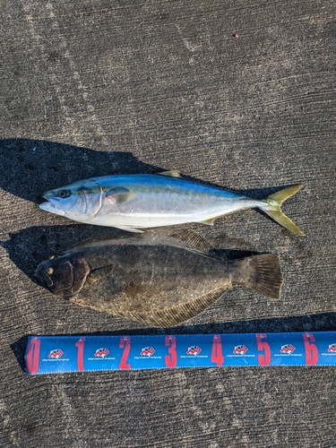 鹿島港魚釣園