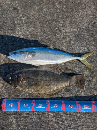 鹿島港魚釣園