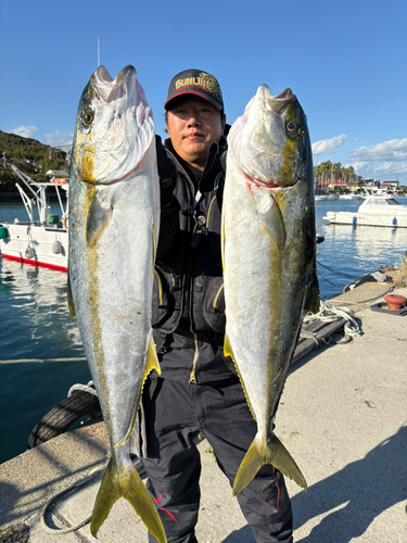 ヒラマサの釣果